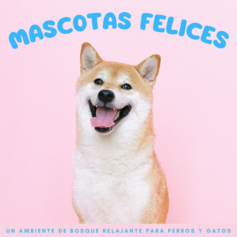 Picture of Mascotas Felices: Un Ambiente De Bosque Relajante Para Perros Y Gatos