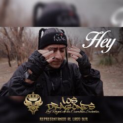 Cover of Hey
