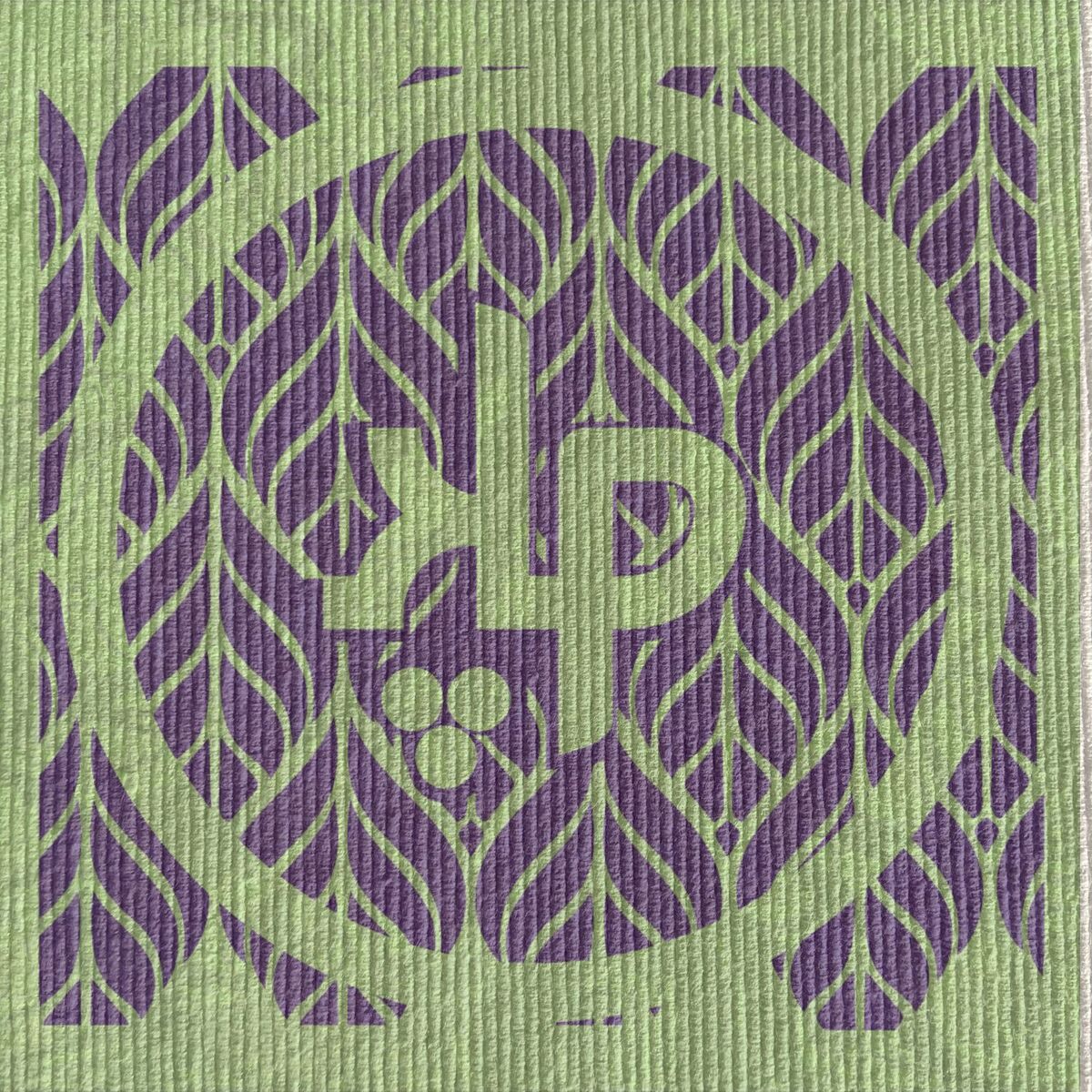 Album cover of When The Light Gets In