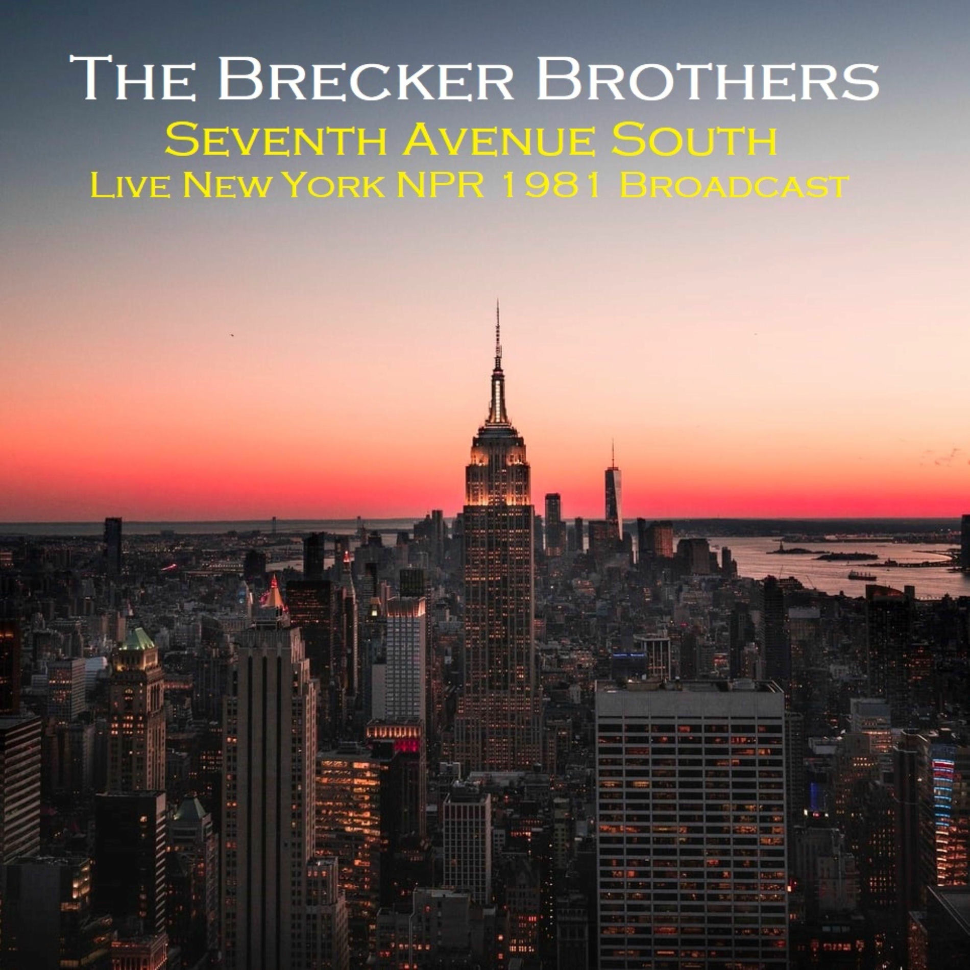 その他 Brecker Brothers Live in Tokyo [DVD] [Import] Amazon.co.jp: Live In Tokyo 1995: ミュージック