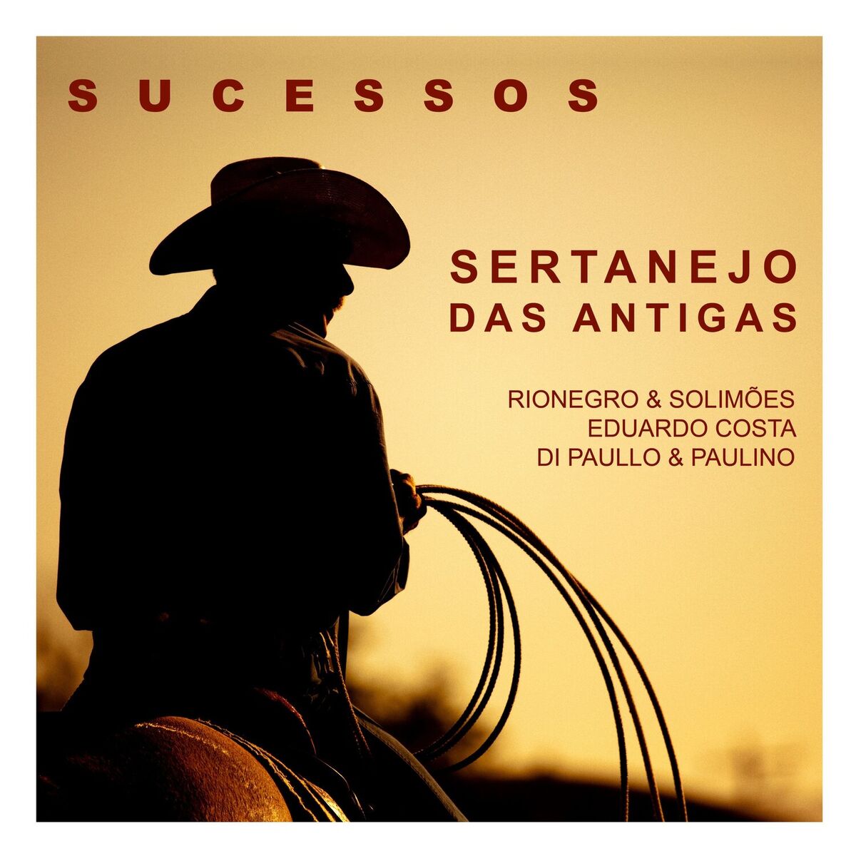 Album cover of Sucessos - Sertanejo das Antigas