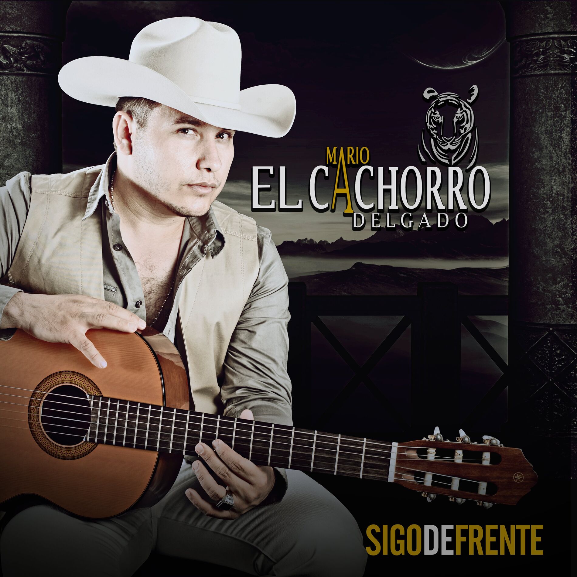 Album cover of Sigo De Frente