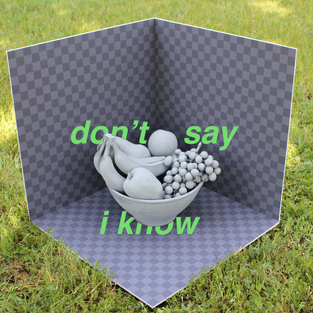 Picture of Don't Say I Know