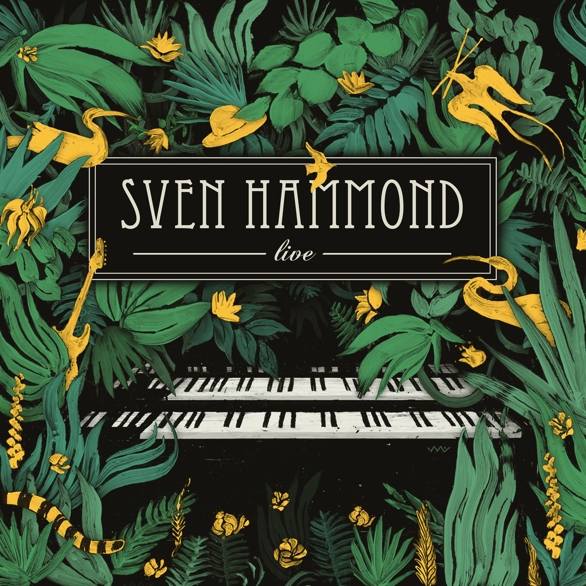 Album cover of Live