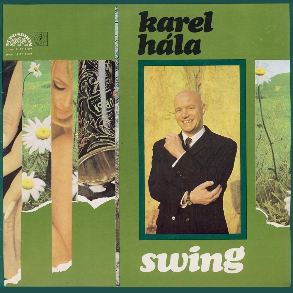 Picture of Swing