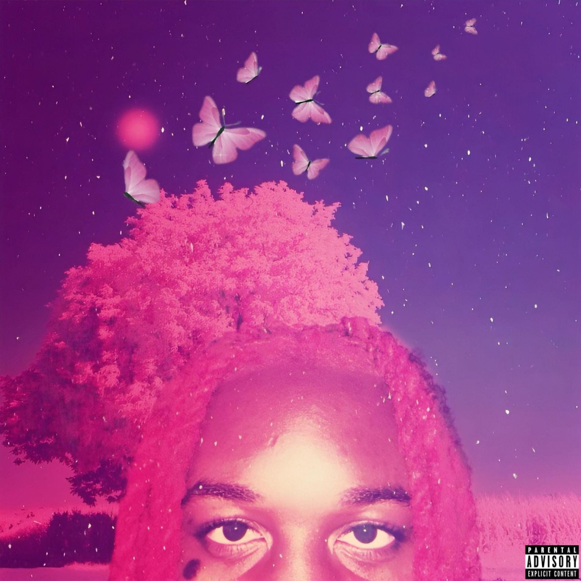 Album cover of PINK SZN