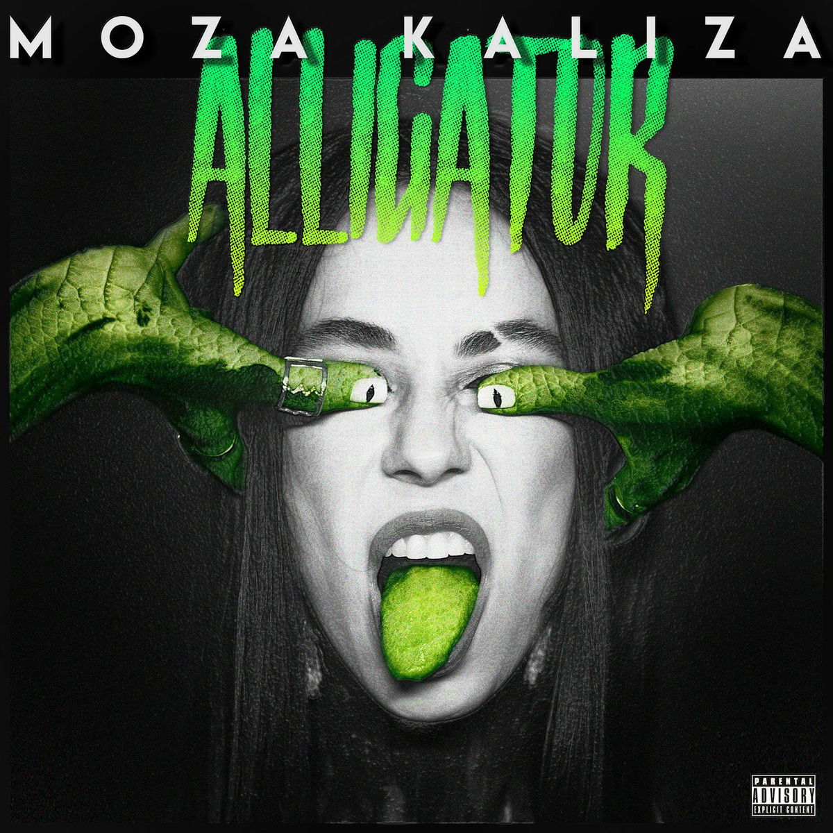 Album cover of Alligator