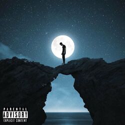Cover of Scars