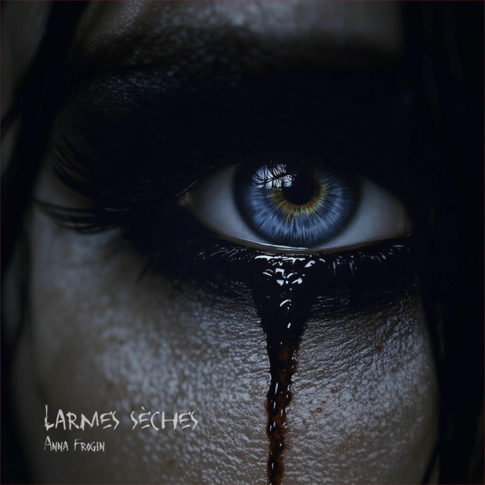 Album cover of Larmes Sèches