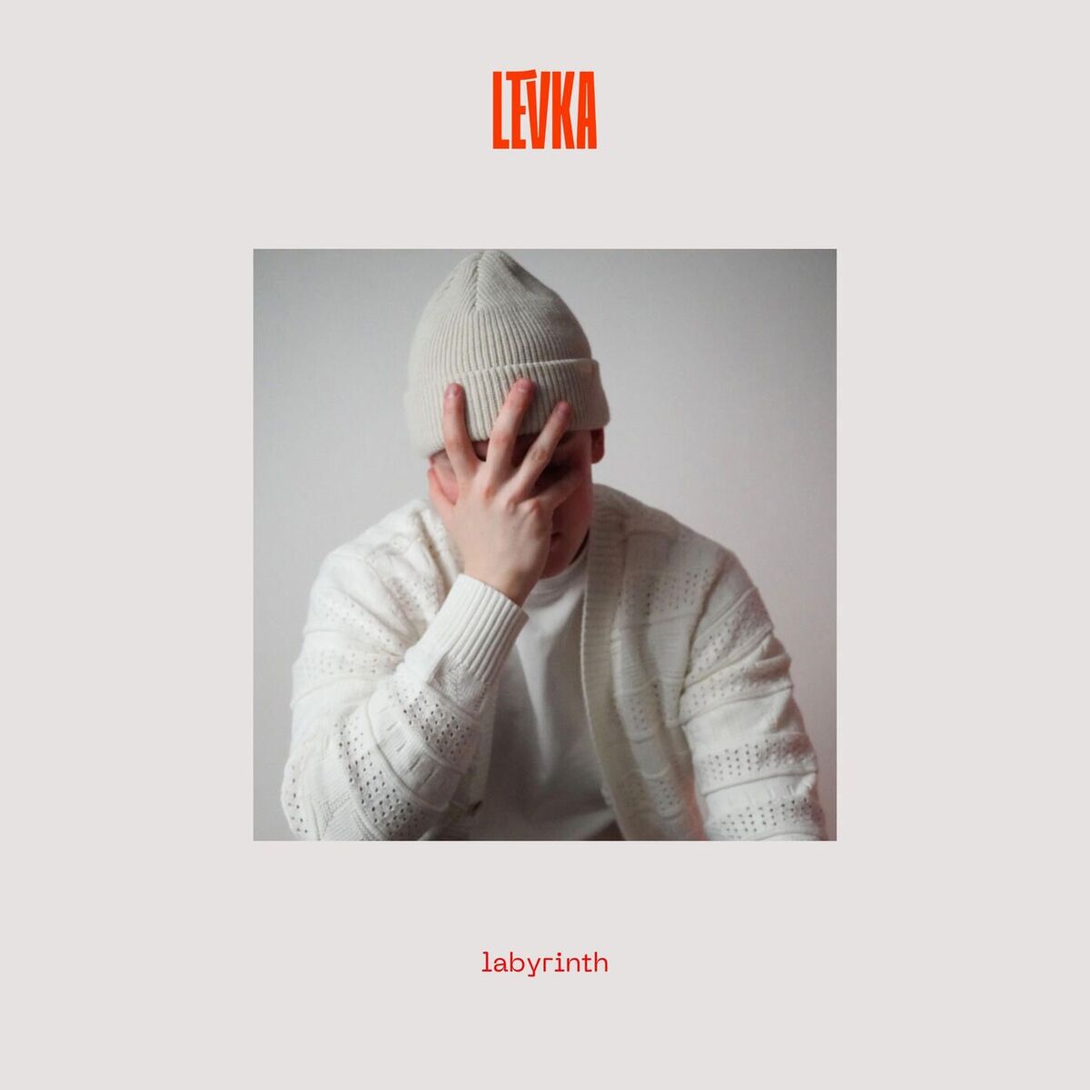 Album cover of labyrinth