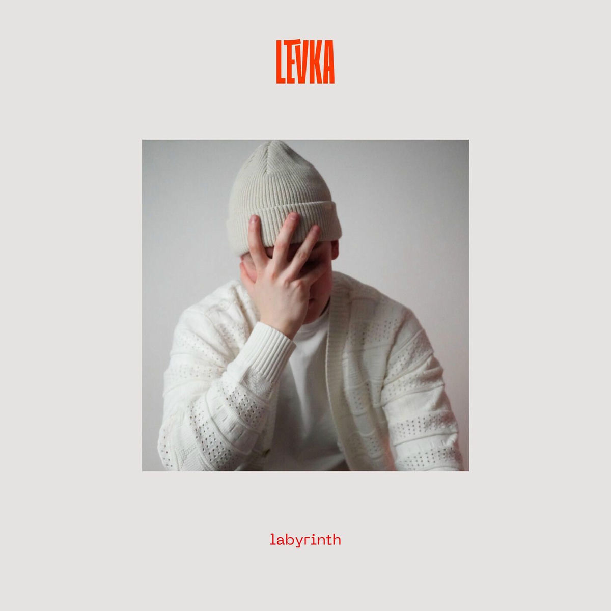Album cover of labyrinth