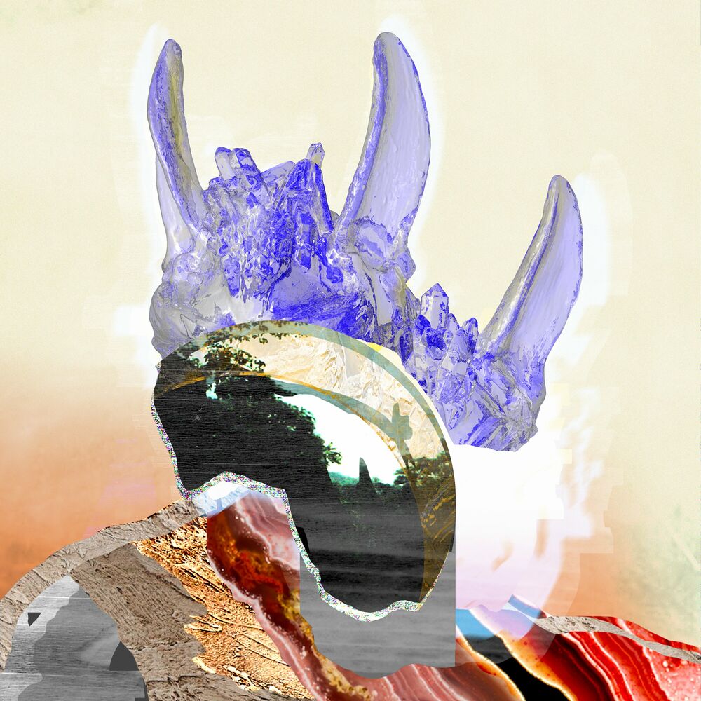 Picture of Wanderflower