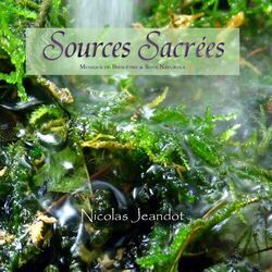 Cover of Sources Sacrées