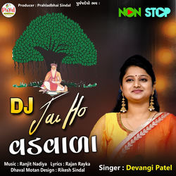 Cover of Dj Jay Ho Vadvala Nonstop by undefined