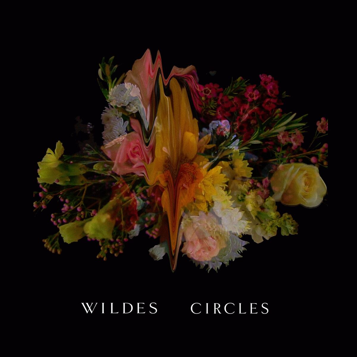 Album cover of Circles