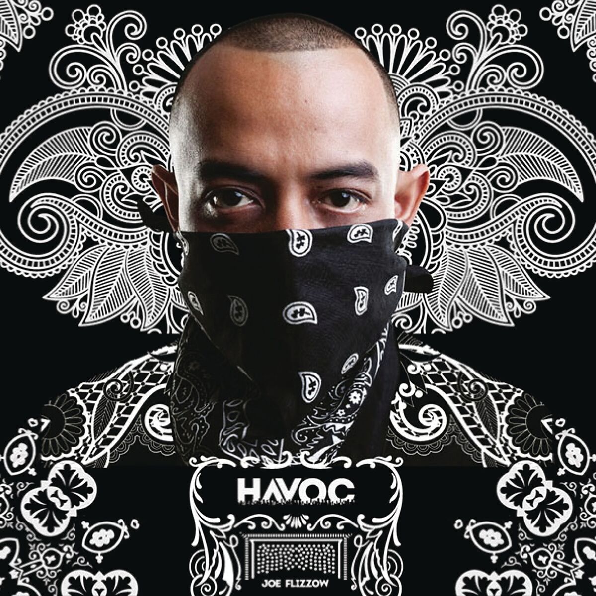 Album cover of Havoc