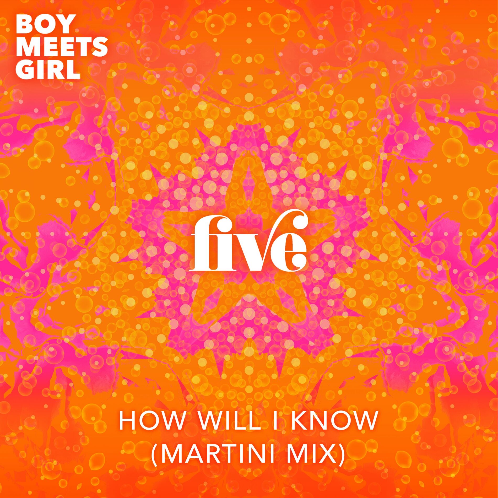 Album cover of How Will I Know (Martini Mix)