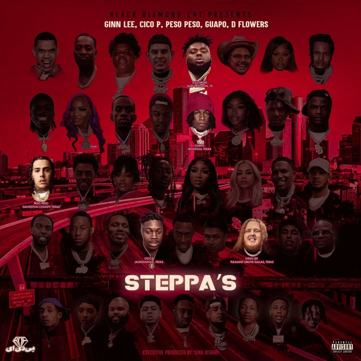 Album cover of Steppa's