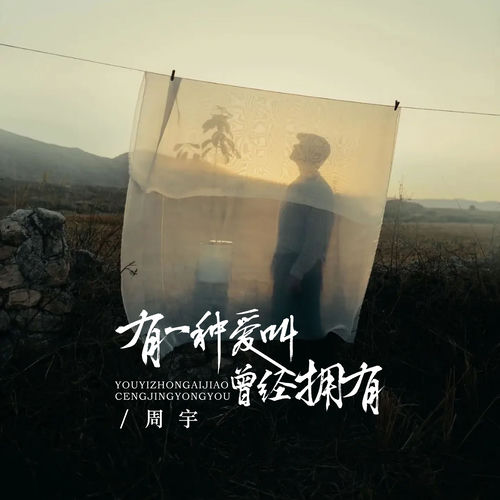 有一种爱叫曾经拥有