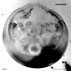 Cover of Succession EP