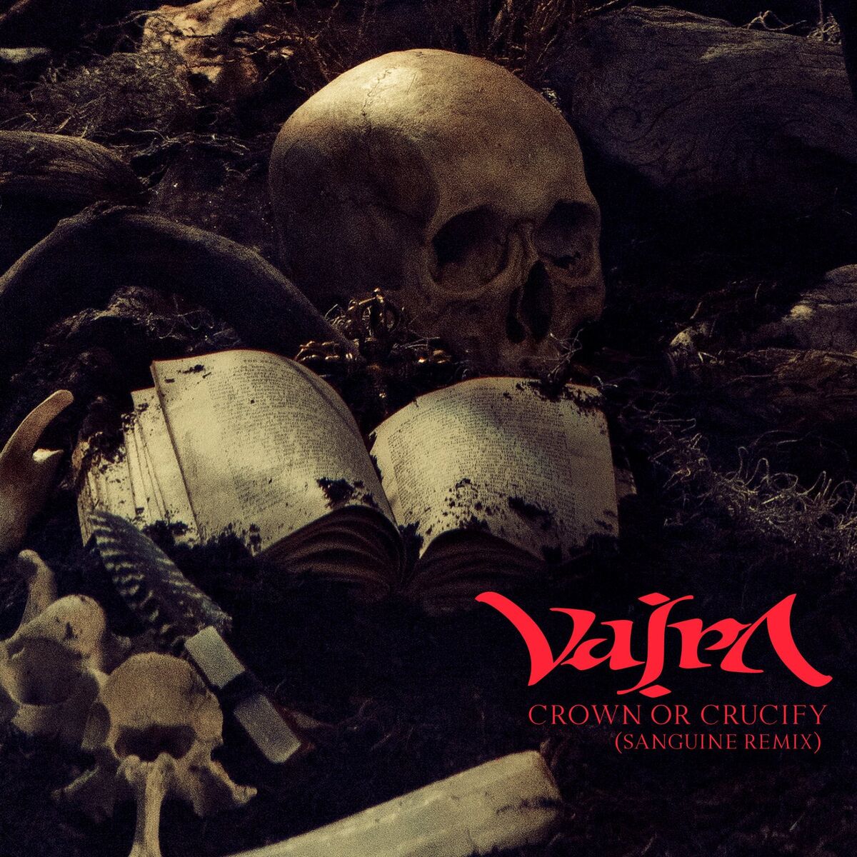 Album cover of Crown or Crucify (Sanguine Remix)