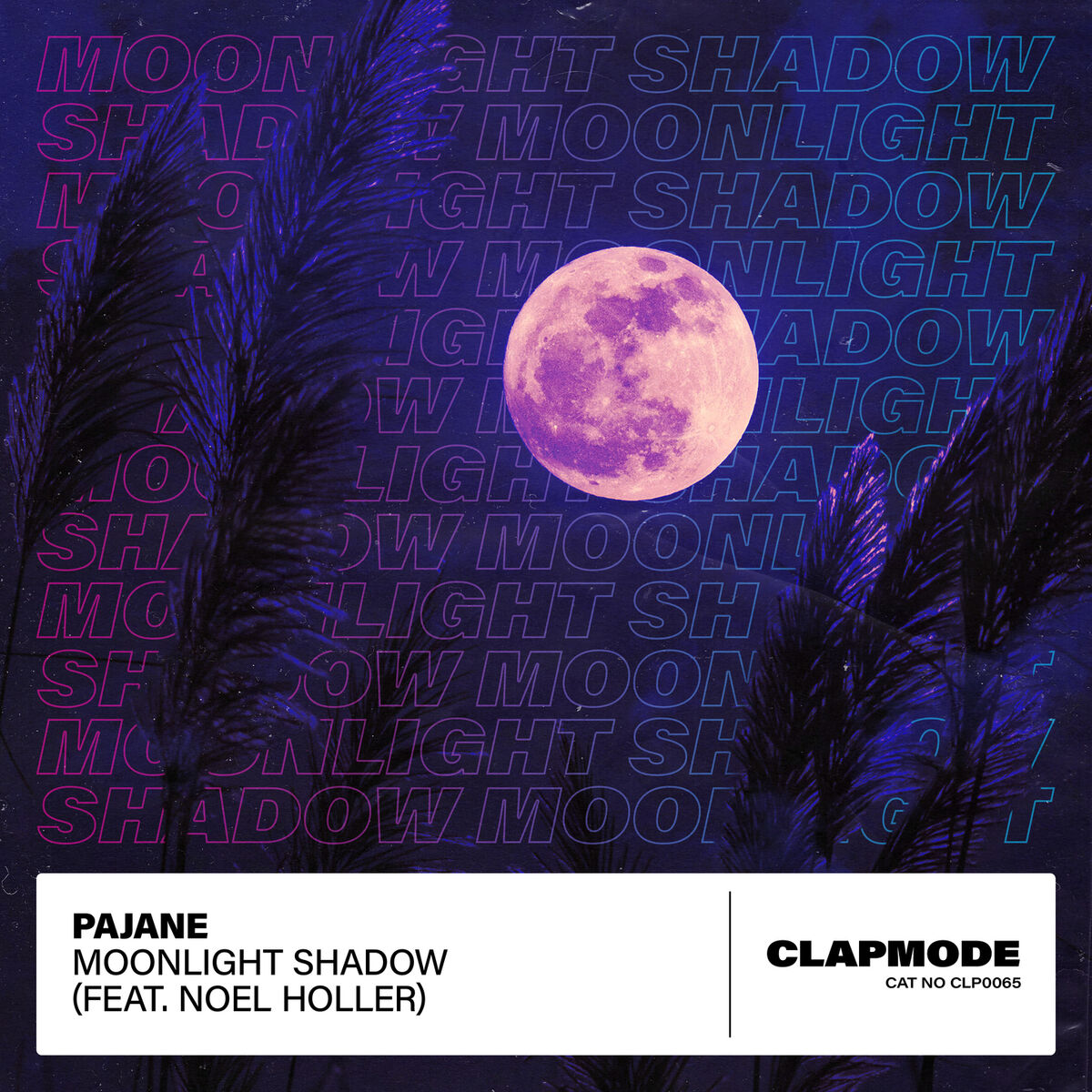 Album cover of Moonlight Shadow