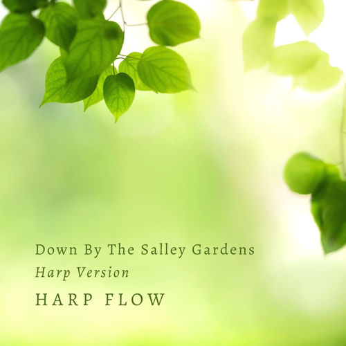 Down by the Salley Gardens by Harp Flow - 52 BPM