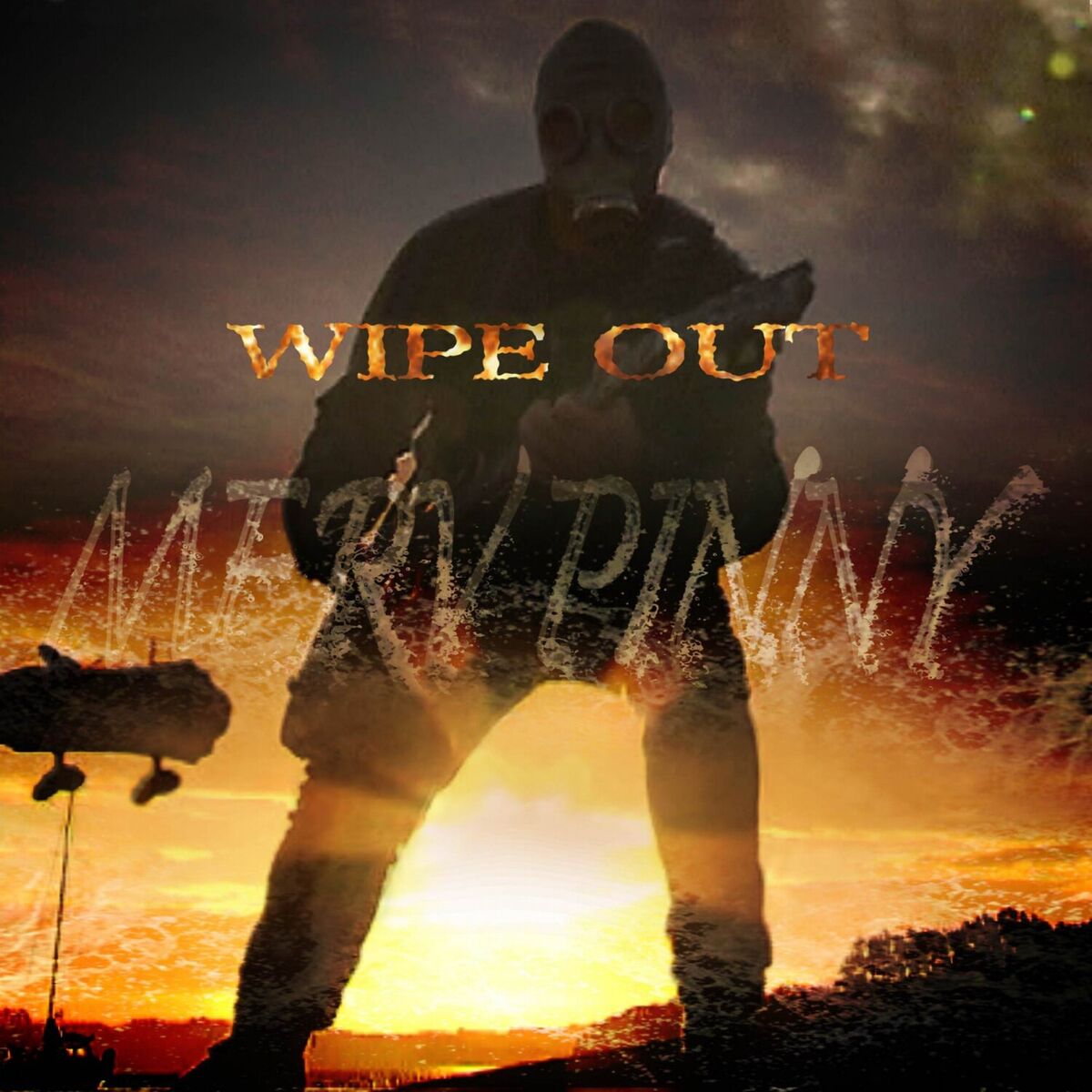 Album cover of Wipe Out
