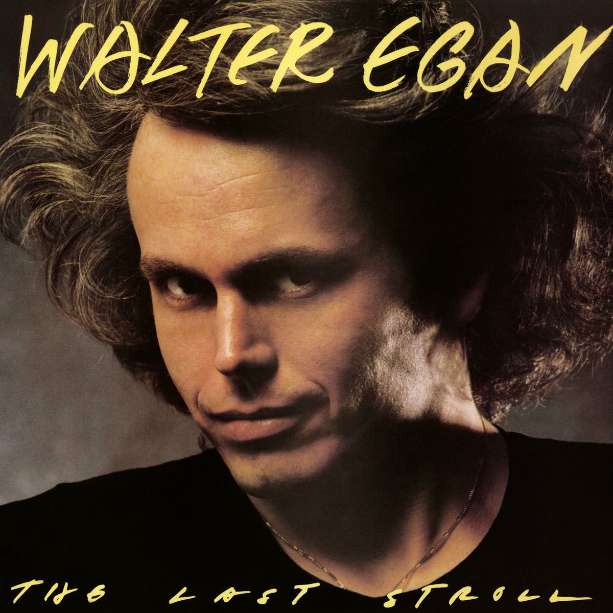 Album cover of The Last Stroll