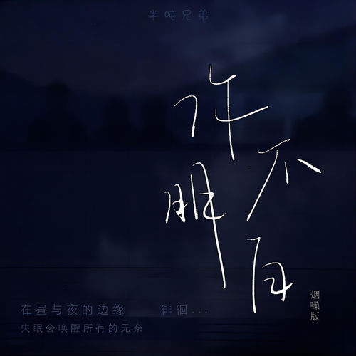 你不明白（烟嗓版）