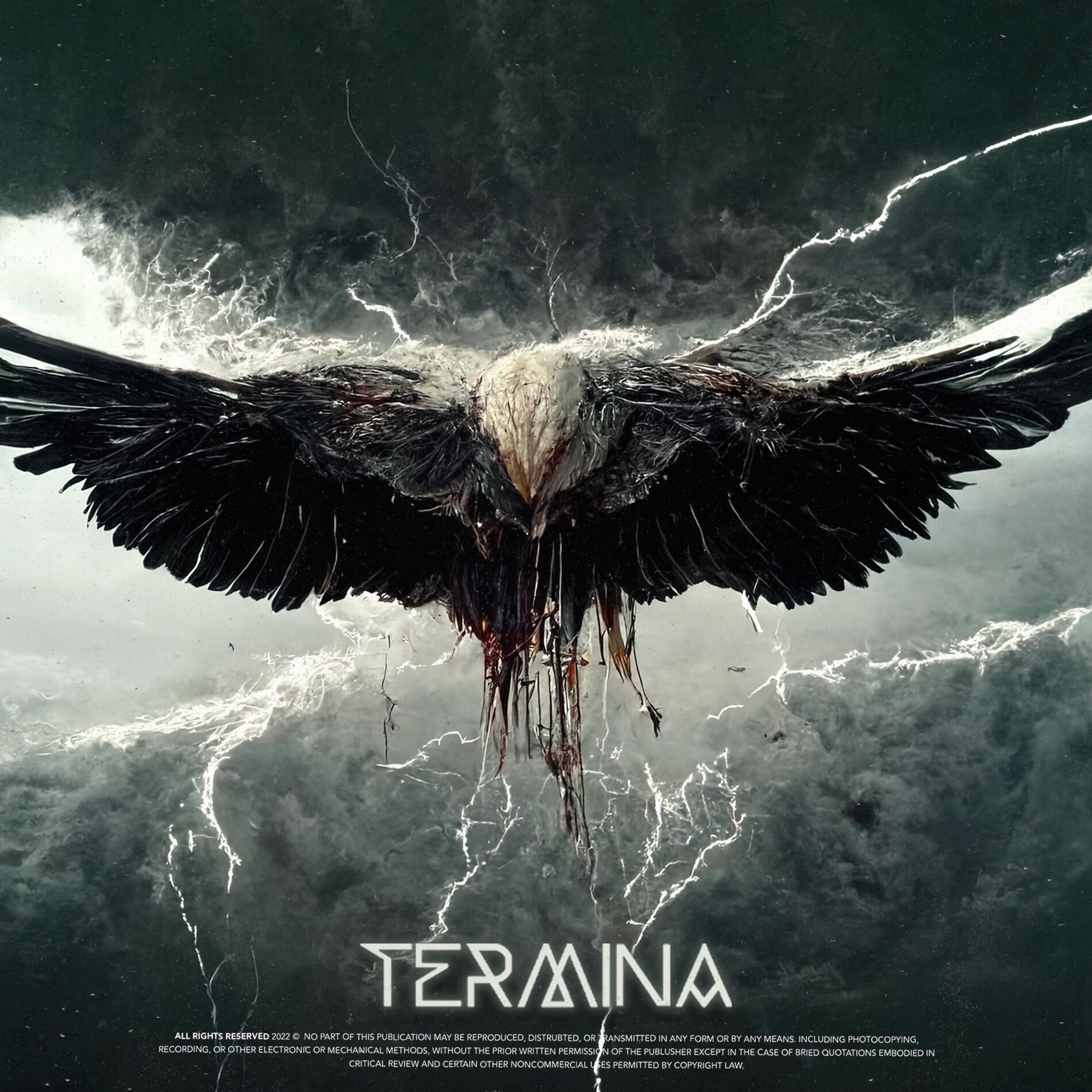 Album cover of Take Flight