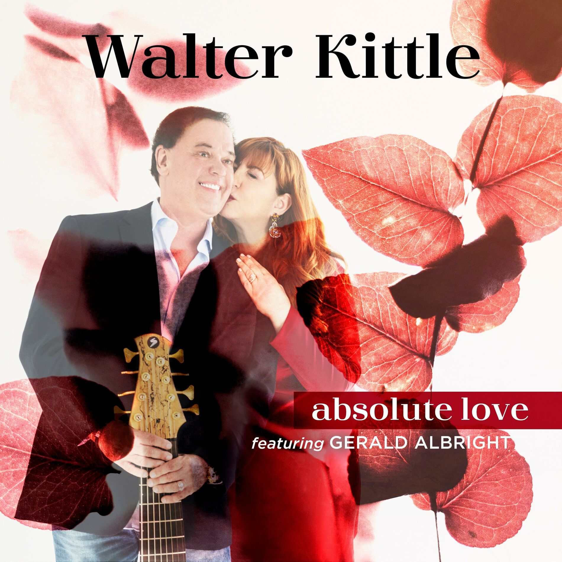 Album cover of Absolute Love (feat. Gerald Albright)