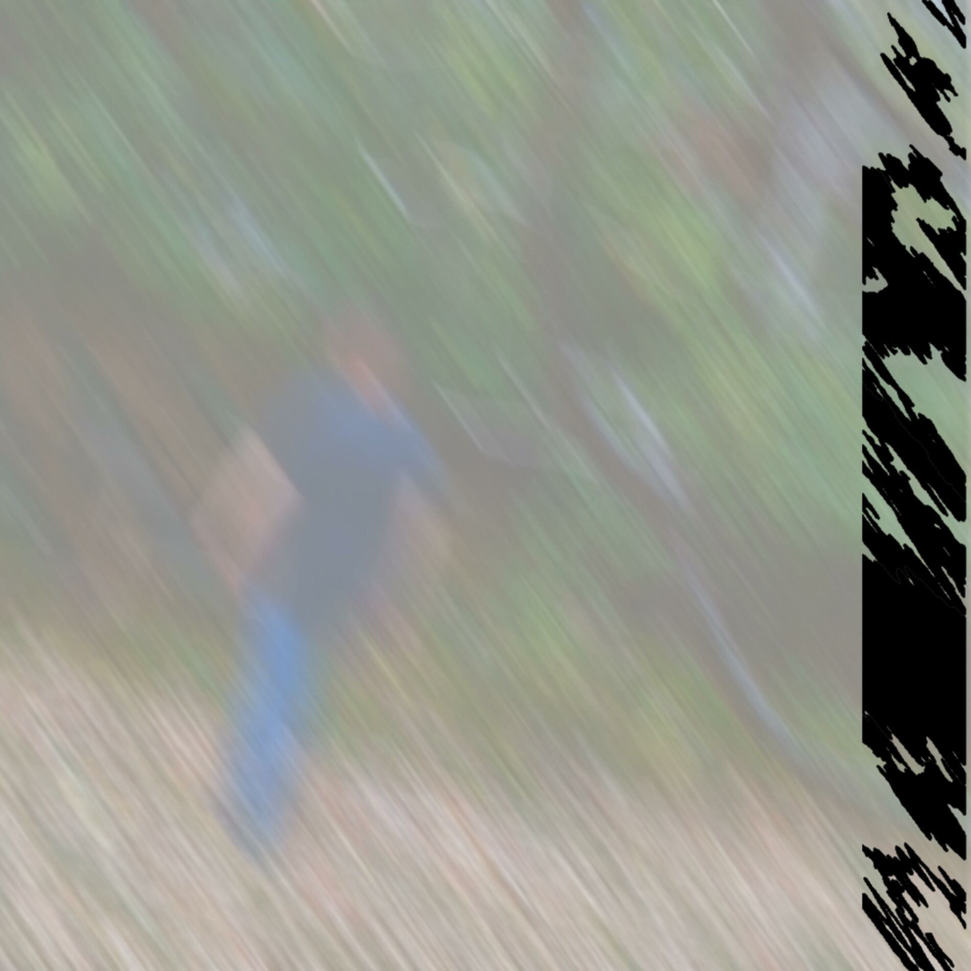 Album cover of STAR CRIMINAL