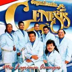 Cover of Mis Lágrimas Amargas