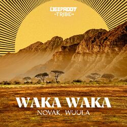 Cover of Waka Waka