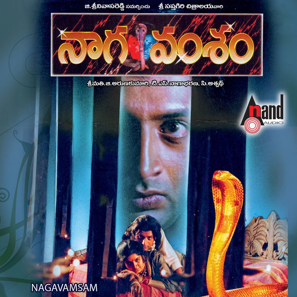 Picture of Nagavamsam (Original Motion Picture Soundtrack)