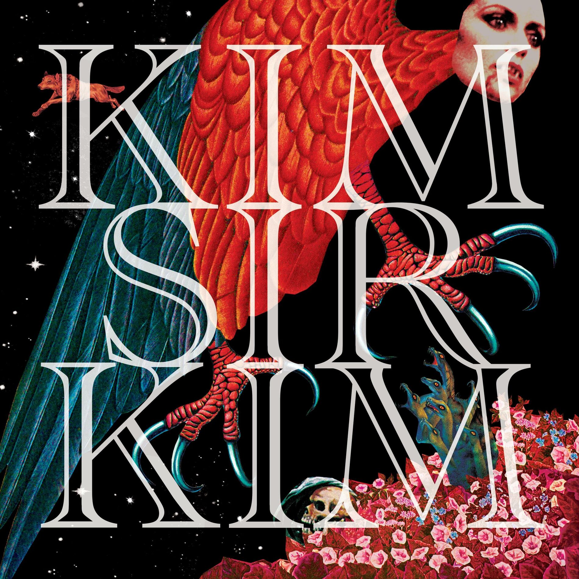 Album cover of Sir Kim