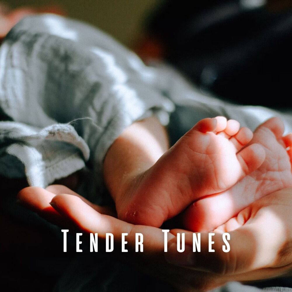 Picture of Tender Tunes: Music for Soothing Babies