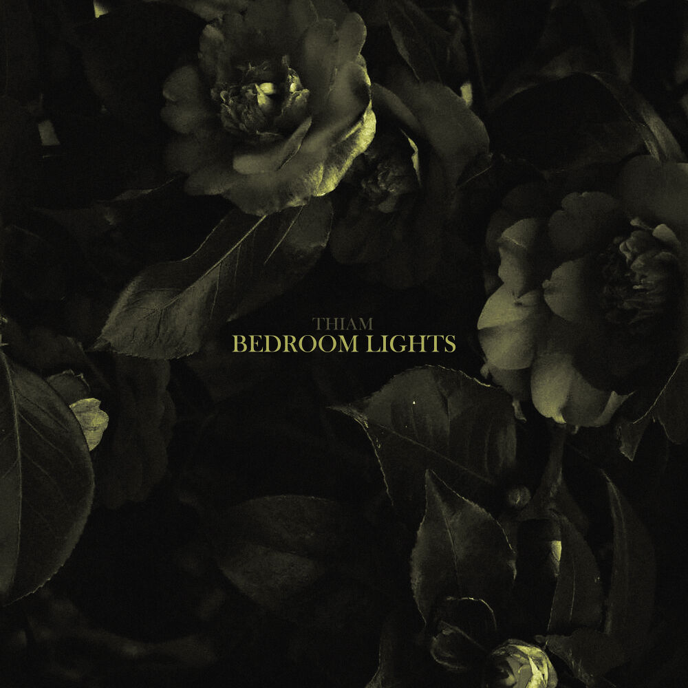 Picture of Bedroom Lights