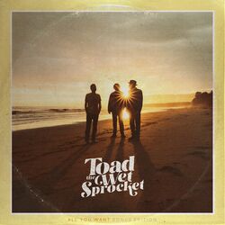 Cover of All You Want (Bonus Edition)