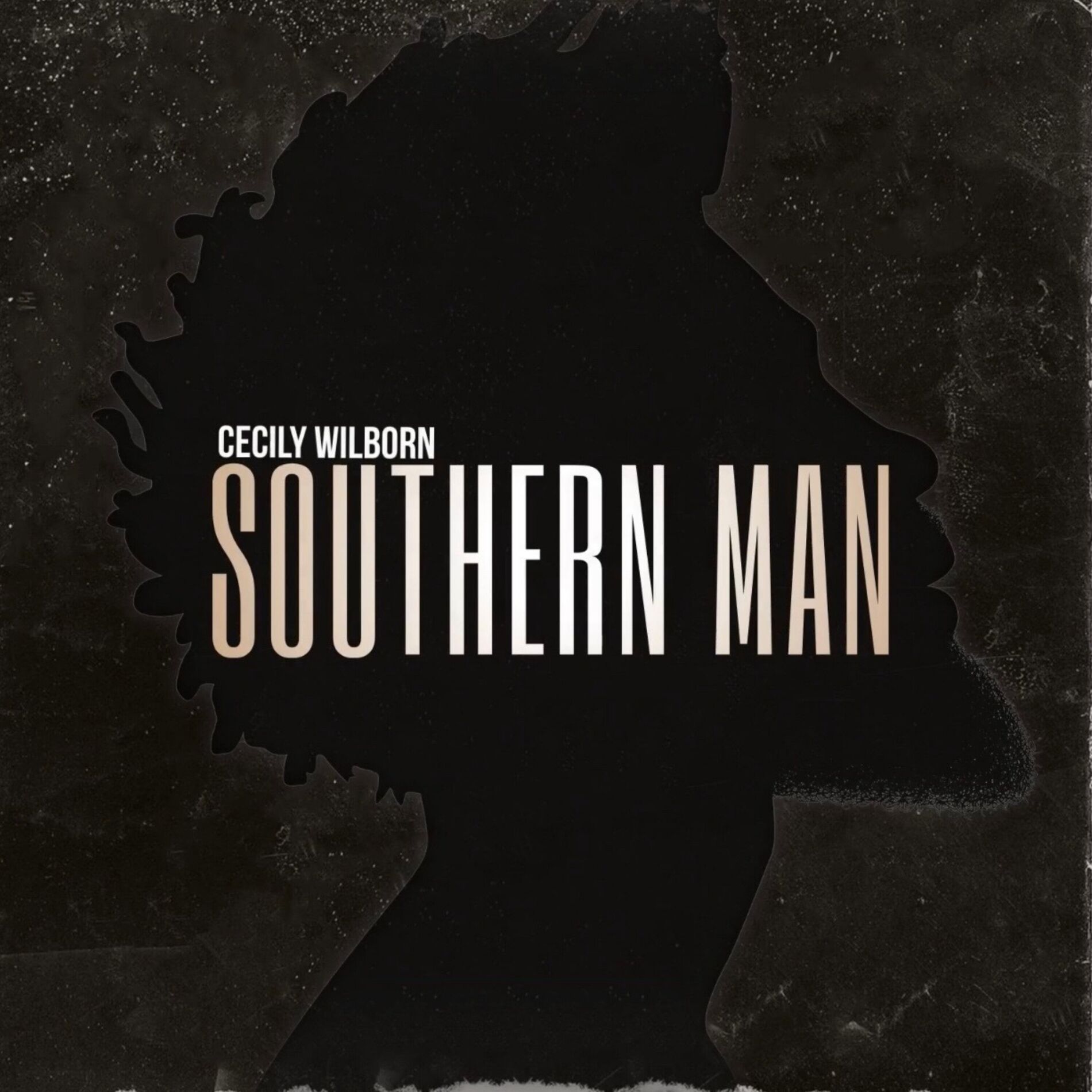 Album cover of Southern Man