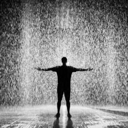 Cover of Raindrops Habit