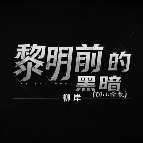 黎明前的黑暗 (Dj小拾版)