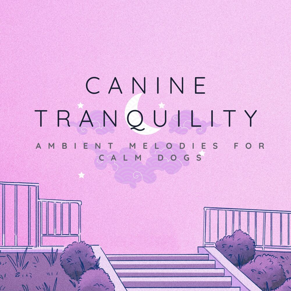 Picture of Canine Tranquility: Ambient Melodies for Calm Dogs