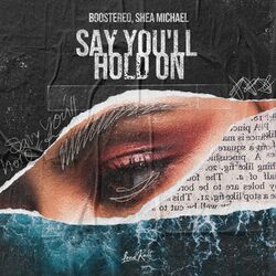 Cover of Say You'll Hold On