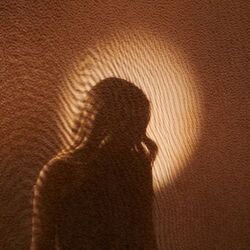 Cover of Hide To Seek