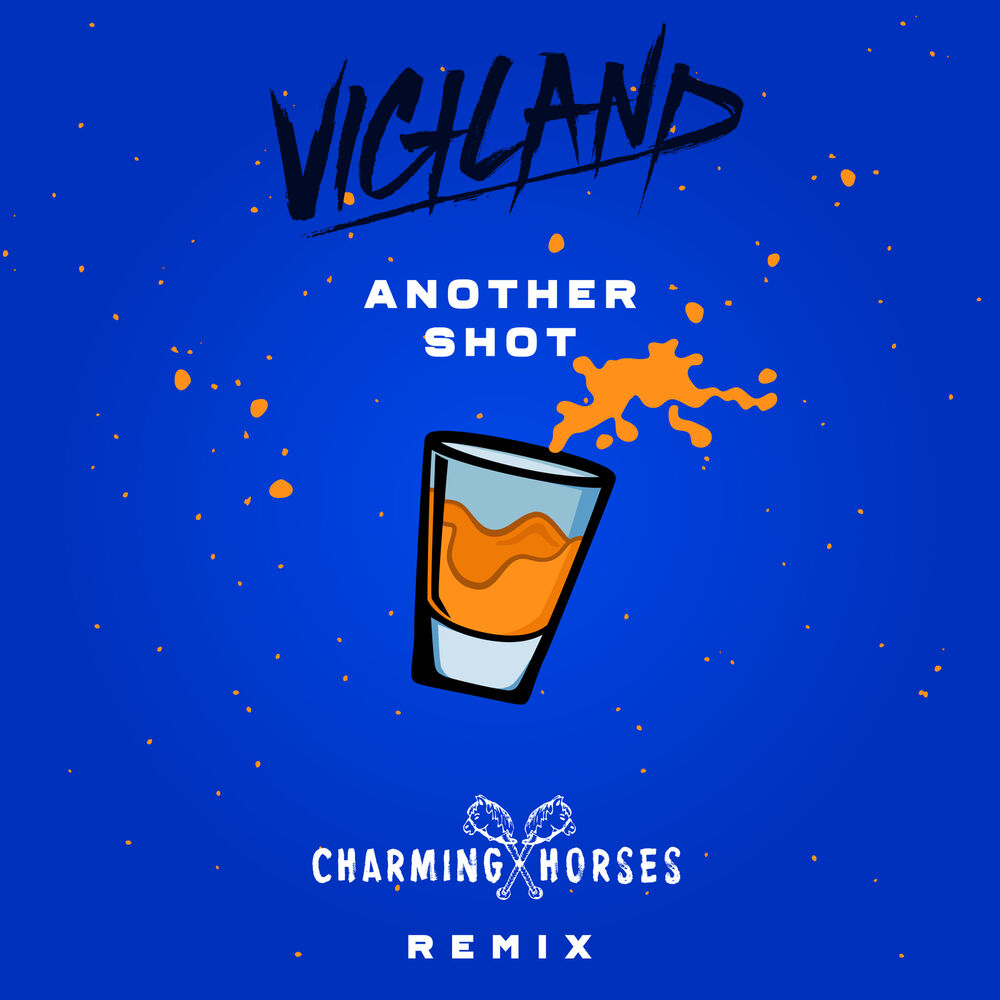 Picture of Another Shot (Charming Horses Remix)