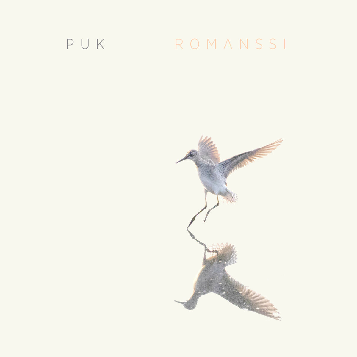 Album cover of Romanssi