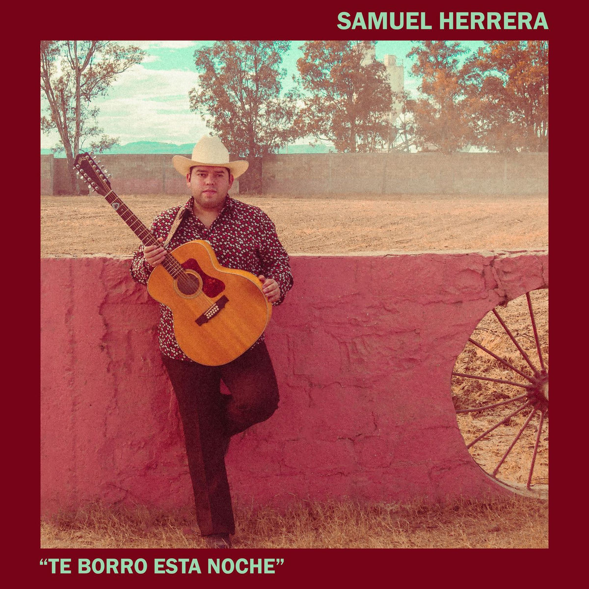 Album cover of Te Borro Esta Noche