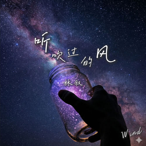 听吹过的风